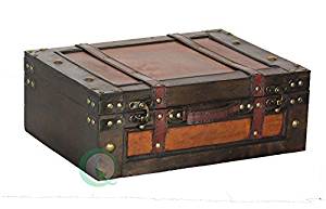 newt-scamander-Suitcase