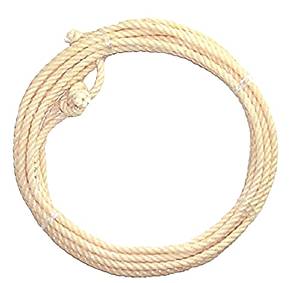 Saddlery Kid's Lariat