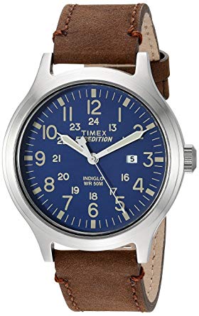 the-governor-watch