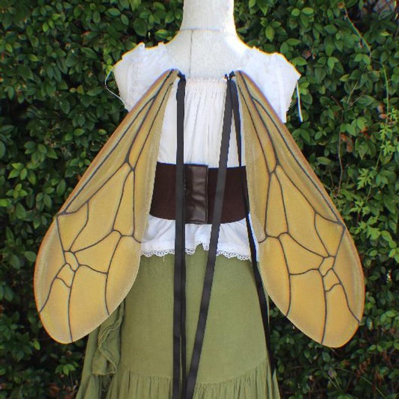 the-wasp-wings